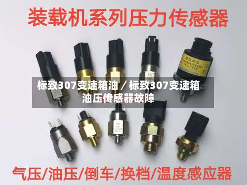 标致307变速箱油／标致307变速箱油压传感器故障-第2张图片