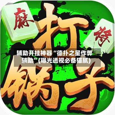 辅助开挂神器“德扑之星作弊辅助”(曝光透视必备猫腻)-第2张图片