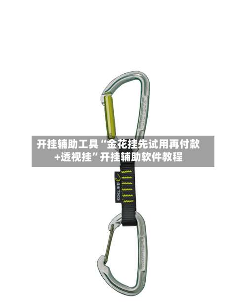 开挂辅助工具“金花挂先试用再付款+透视挂”开挂辅助软件教程-第1张图片