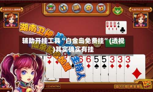 辅助开挂工具“白金岛免费挂”(透视)其实确实有挂-第1张图片