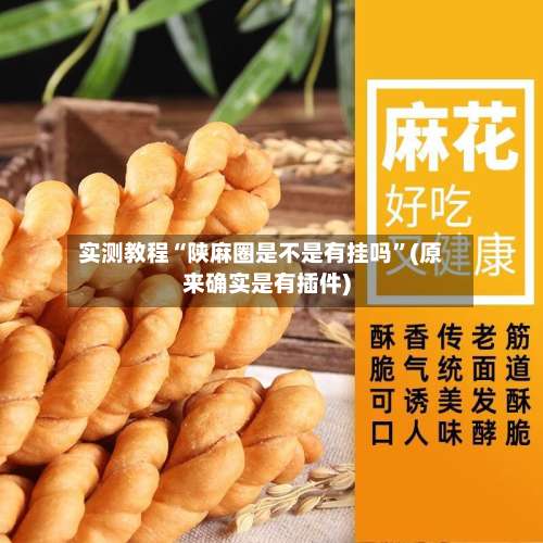 实测教程“陕麻圈是不是有挂吗	”(原来确实是有插件)-第1张图片