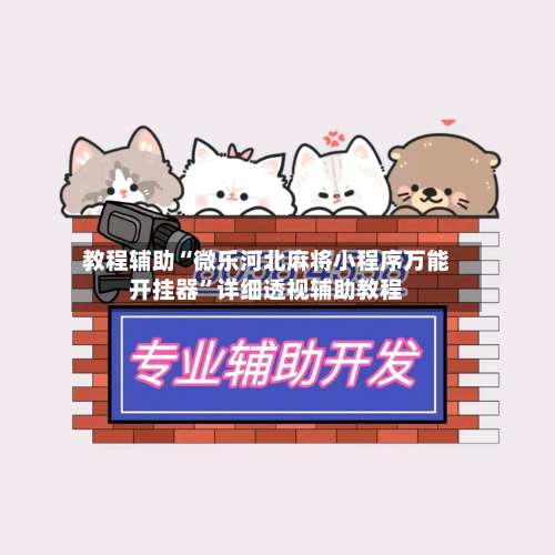 教程辅助“微乐河北麻将小程序万能开挂器	”详细透视辅助教程-第1张图片