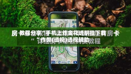 教程分享“手机上炸金花透明挂下载”作弊(透视)透视辅助-第1张图片