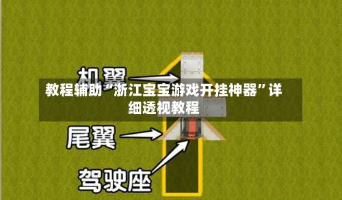 教程辅助“浙江宝宝游戏开挂神器”详细透视教程-第3张图片