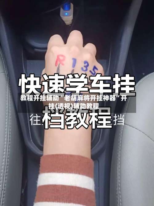 教程开挂辅助“老胡麻将开挂神器”开挂(透视)辅助教程-第1张图片