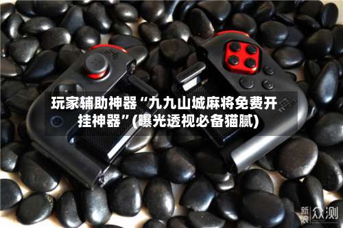 玩家辅助神器“九九山城麻将免费开挂神器”(曝光透视必备猫腻)-第1张图片