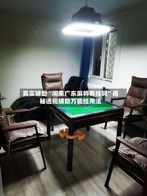 真实辅助“闲来广东麻将有挂吗	”揭秘透视辅助万能挂用法-第1张图片