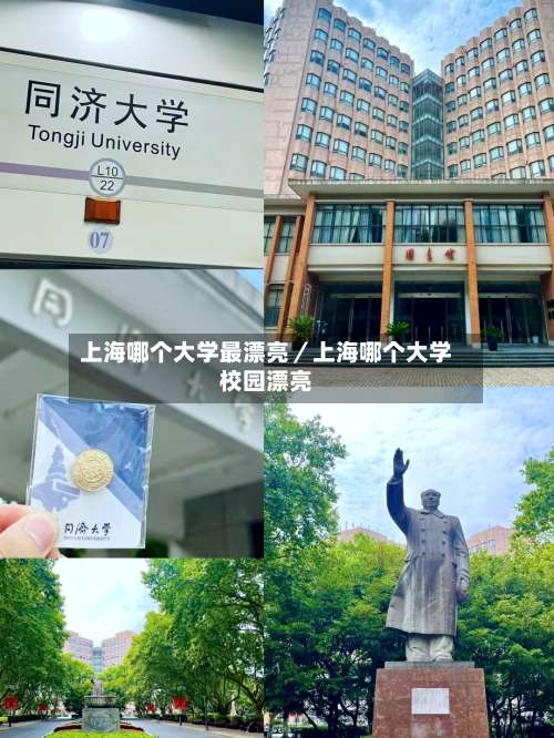 上海哪个大学最漂亮／上海哪个大学校园漂亮-第3张图片