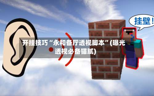 开挂技巧“永和备厅透视脚本”(曝光透视必备猫腻)-第1张图片