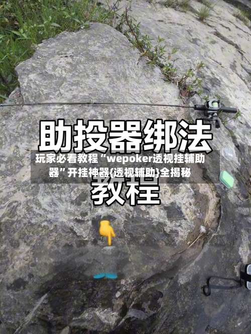 玩家必看教程“wepoker透视挂辅助器”开挂神器{透视辅助}全揭秘-第3张图片