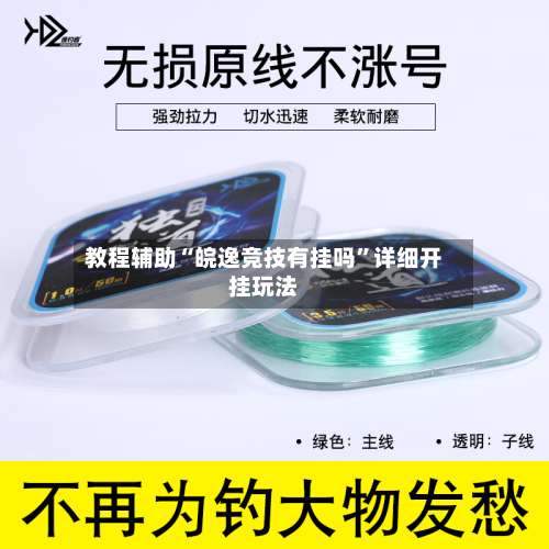 教程辅助“皖逸竞技有挂吗”详细开挂玩法-第1张图片