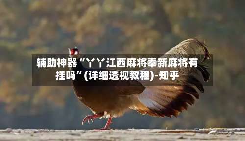 辅助神器“丫丫江西麻将奉新麻将有挂吗”(详细透视教程)-知乎-第1张图片