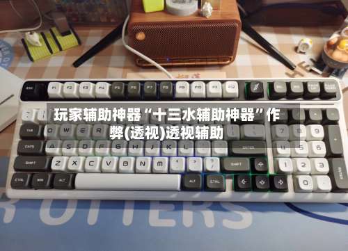 玩家辅助神器“十三水辅助神器”作弊(透视)透视辅助-第2张图片