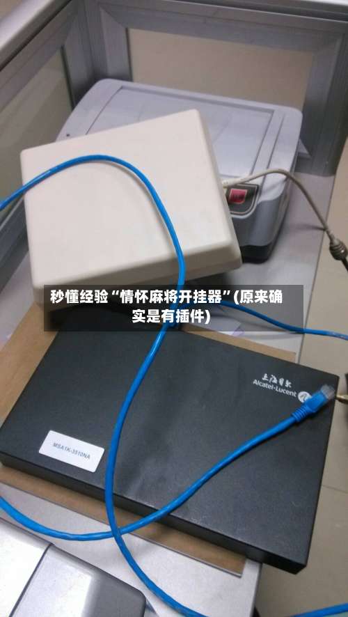 秒懂经验“情怀麻将开挂器	”(原来确实是有插件)-第2张图片