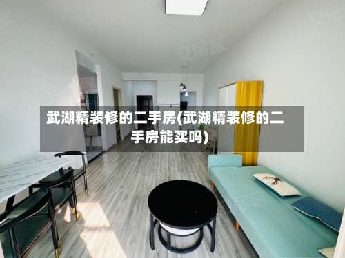 武湖精装修的二手房(武湖精装修的二手房能买吗)-第1张图片