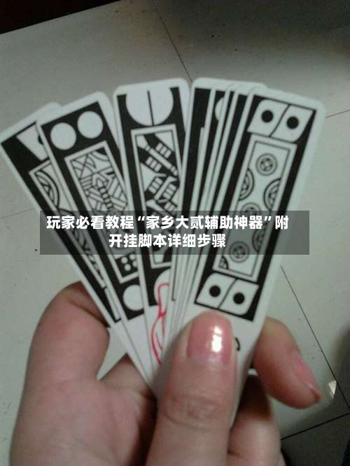 玩家必看教程“家乡大贰辅助神器	”附开挂脚本详细步骤-第2张图片