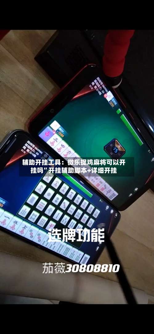 辅助开挂工具：微乐捉鸡麻将可以开挂吗”开挂辅助脚本+详细开挂-第2张图片