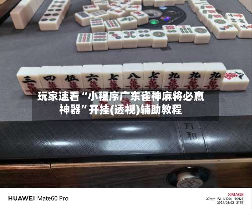 玩家速看“小程序广东雀神麻将必赢神器”开挂(透视)辅助教程-第1张图片