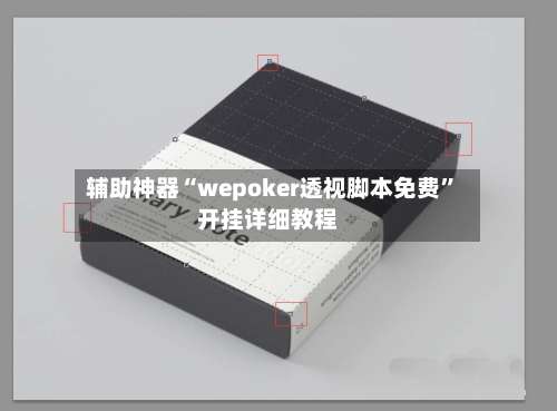 辅助神器“wepoker透视脚本免费	”开挂详细教程-第2张图片
