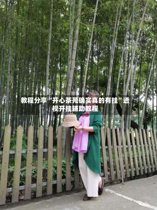 教程分享“开心茶苑确实真的有挂”透视开挂辅助教程-第3张图片