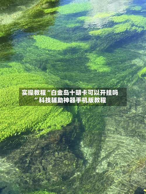 实操教程“白金岛十胡卡可以开挂吗	”科技辅助神器手机版教程-第1张图片