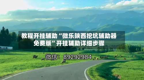 教程开挂辅助“微乐陕西挖坑辅助器免费版”开挂辅助详细步骤-第2张图片