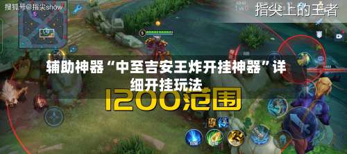 辅助神器“中至吉安王炸开挂神器”详细开挂玩法-第3张图片