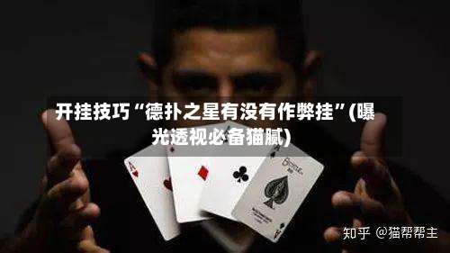 开挂技巧“德扑之星有没有作弊挂”(曝光透视必备猫腻)-第3张图片