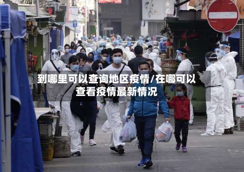 到哪里可以查询地区疫情/在哪可以查看疫情最新情况-第2张图片