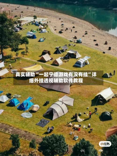 真实辅助“一起宁德游戏有没有挂	”详细外挂透视辅助软件教程-第3张图片