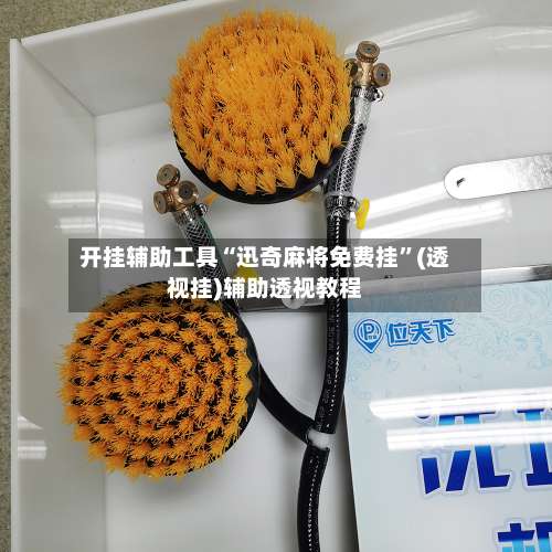 开挂辅助工具“迅奇麻将免费挂	”(透视挂)辅助透视教程-第1张图片