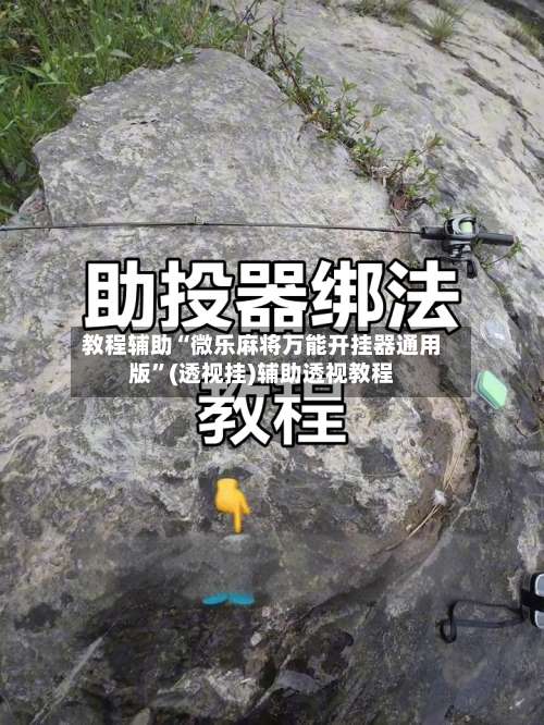 教程辅助“微乐麻将万能开挂器通用版	”(透视挂)辅助透视教程-第2张图片