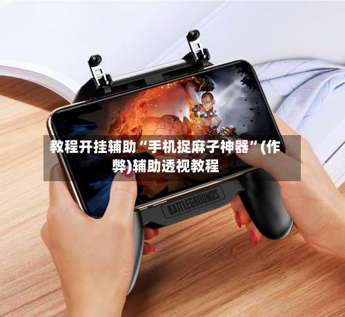 教程开挂辅助“手机捉麻子神器”(作弊)辅助透视教程-第1张图片