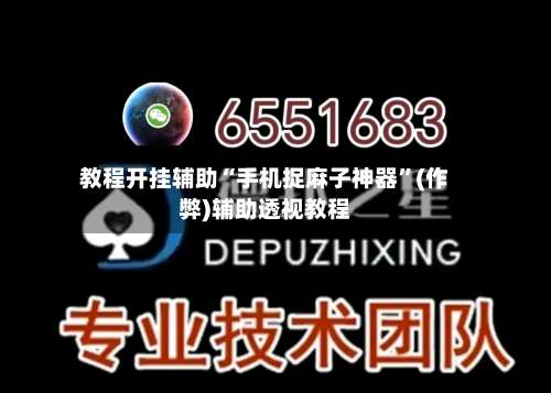 教程开挂辅助“手机捉麻子神器	”(作弊)辅助透视教程-第2张图片
