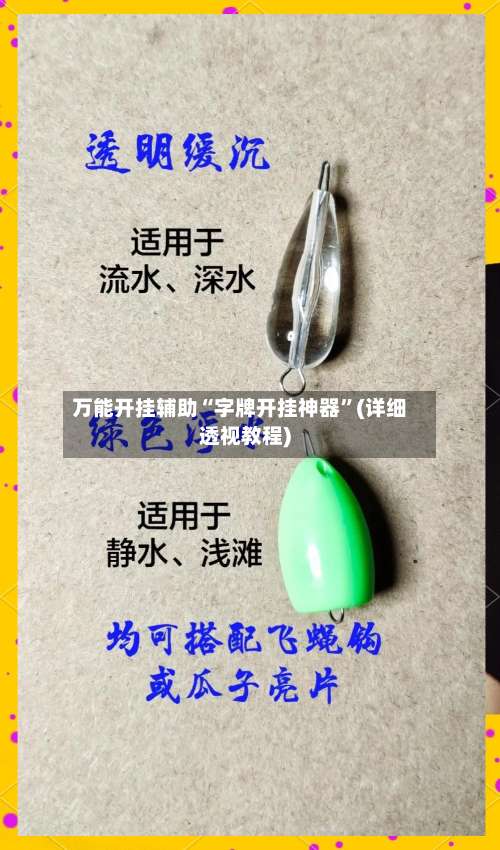 万能开挂辅助“字牌开挂神器”(详细透视教程)-第3张图片