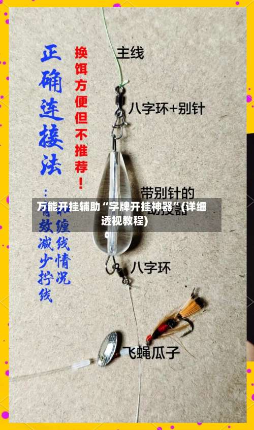 万能开挂辅助“字牌开挂神器”(详细透视教程)-第1张图片