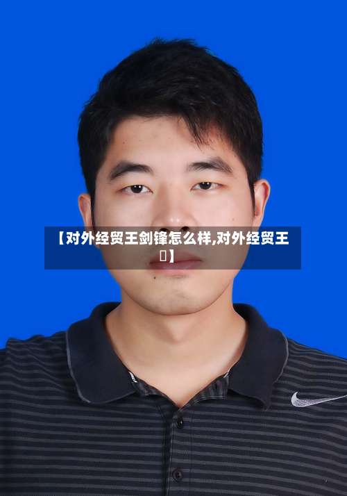 【对外经贸王剑锋怎么样,对外经贸王韡】-第1张图片