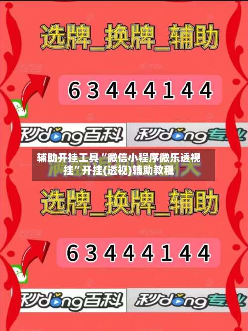 辅助开挂工具“微信小程序微乐透视挂”开挂(透视)辅助教程-第1张图片