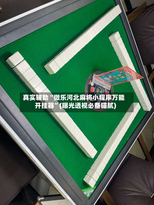 真实辅助“微乐河北麻将小程序万能开挂器	”(曝光透视必备猫腻)-第1张图片