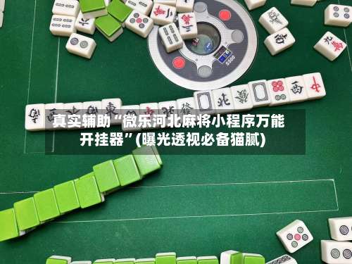 真实辅助“微乐河北麻将小程序万能开挂器”(曝光透视必备猫腻)-第2张图片