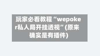 玩家必看教程“wepoker私人局开挂透视	”(原来确实是有插件)-第1张图片