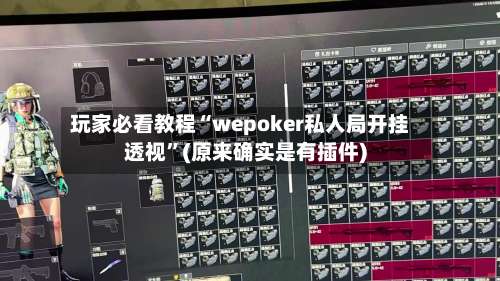 玩家必看教程“wepoker私人局开挂透视”(原来确实是有插件)-第3张图片