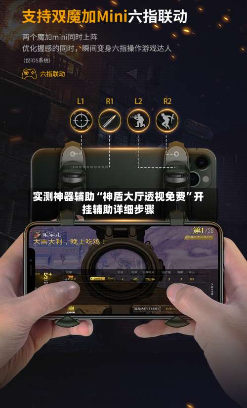 实测神器辅助“神盾大厅透视免费”开挂辅助详细步骤-第1张图片