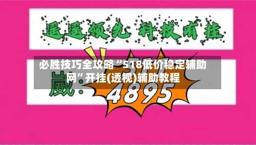 必胜技巧全攻略“518低价稳定辅助网”开挂(透视)辅助教程-第3张图片