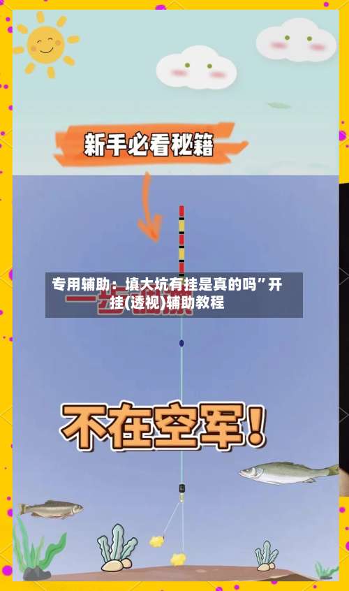 专用辅助：填大坑有挂是真的吗	”开挂(透视)辅助教程-第3张图片