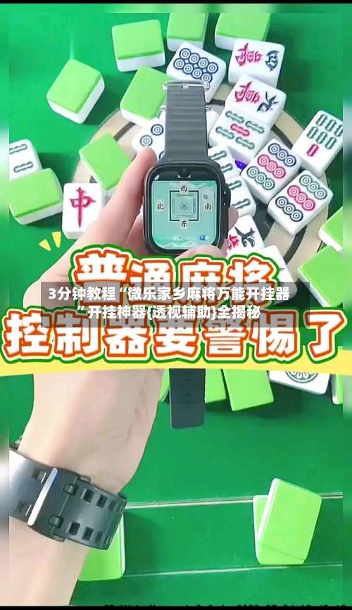 3分钟教程“微乐家乡麻将万能开挂器	”开挂神器{透视辅助}全揭秘-第2张图片