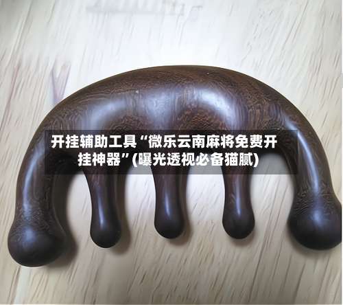 开挂辅助工具“微乐云南麻将免费开挂神器	”(曝光透视必备猫腻)-第1张图片