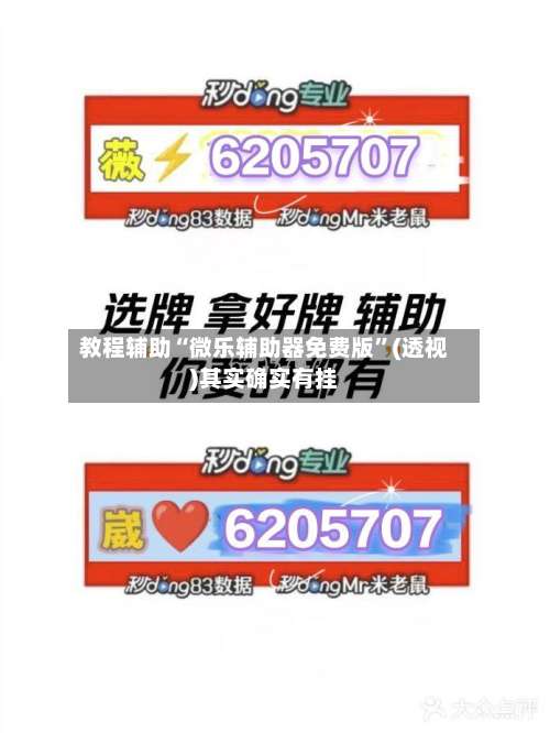 教程辅助“微乐辅助器免费版”(透视)其实确实有挂-第2张图片