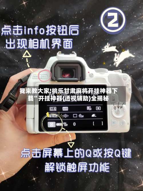 我来教大家!桃乐甘肃麻将开挂神器下载”开挂神器{透视辅助}全揭秘-第1张图片