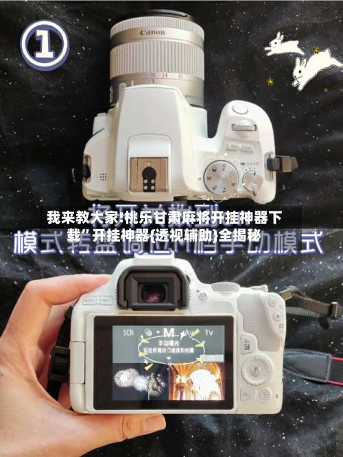 我来教大家!桃乐甘肃麻将开挂神器下载	”开挂神器{透视辅助}全揭秘-第2张图片